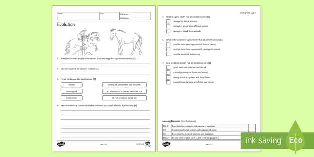 types of evolution worksheet