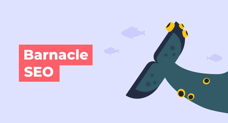 barnacle competition worksheet