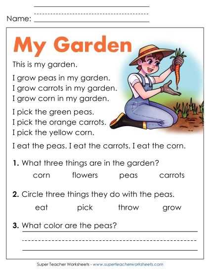 basic comprehension worksheets
