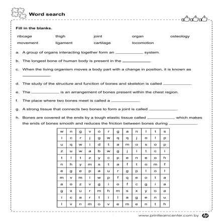 basic science worksheet for class 6