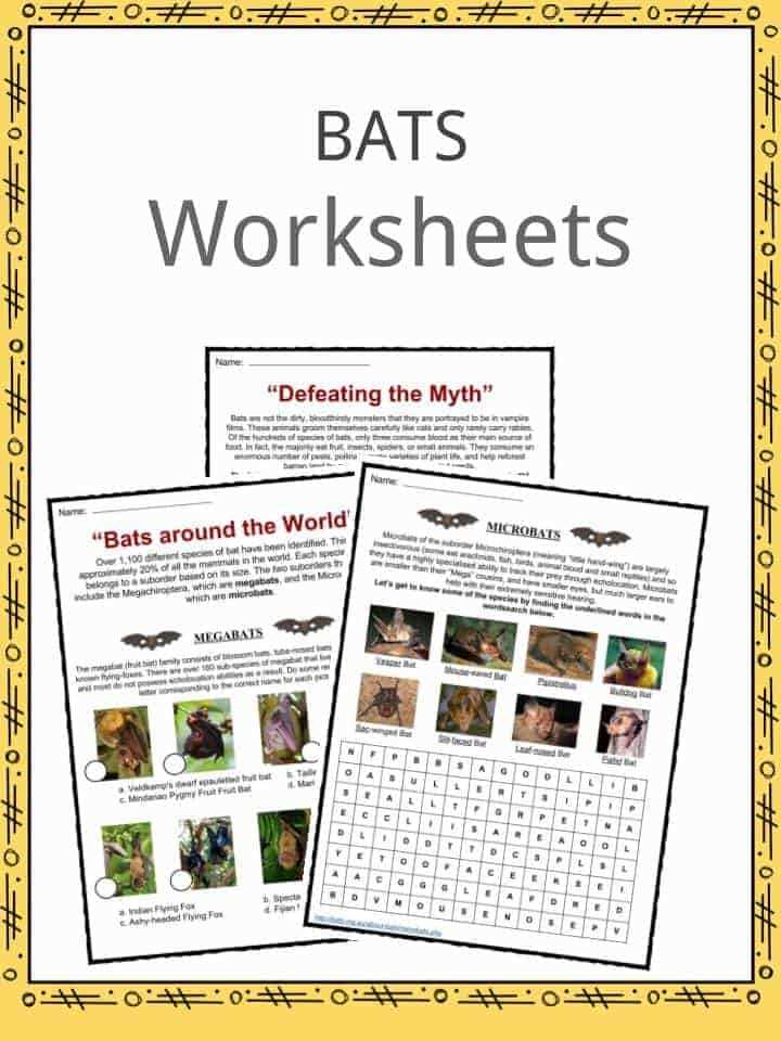 bats worksheets
