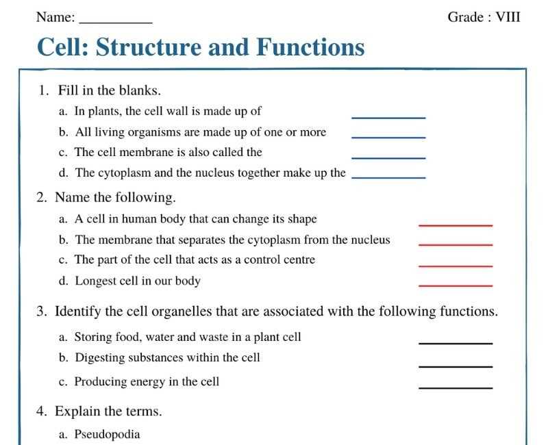 cell structure function worksheet