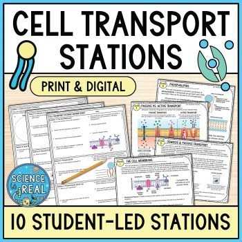 cell transport concept map worksheet