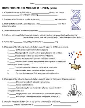 biology mr hoyle dna worksheet