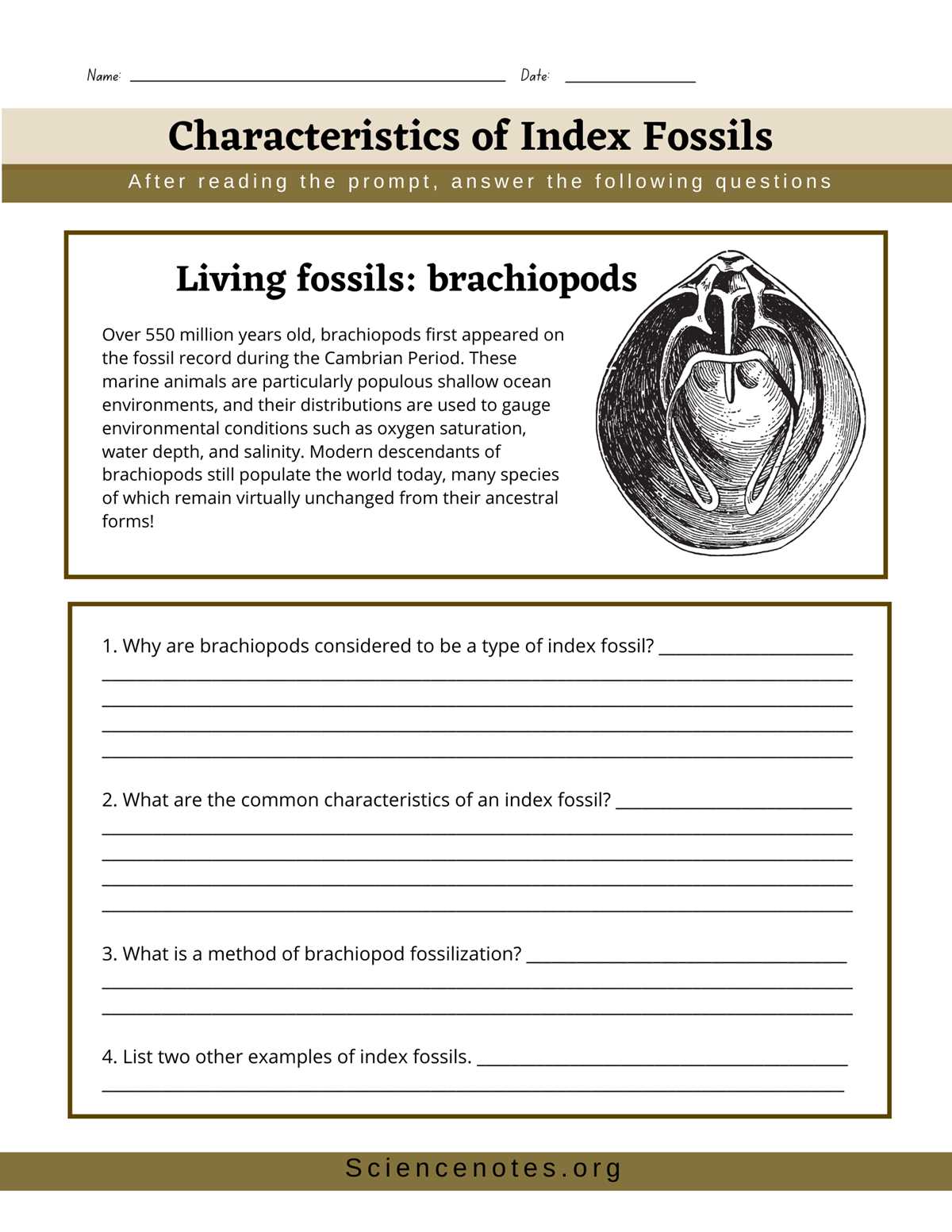 fossils reading worksheet