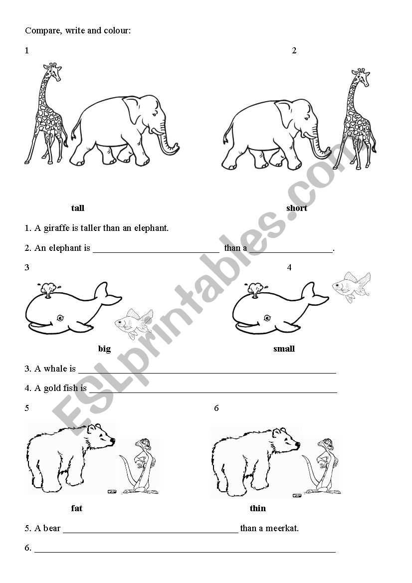 big small tall short fat thin worksheet big small tall short fat thin worksheet