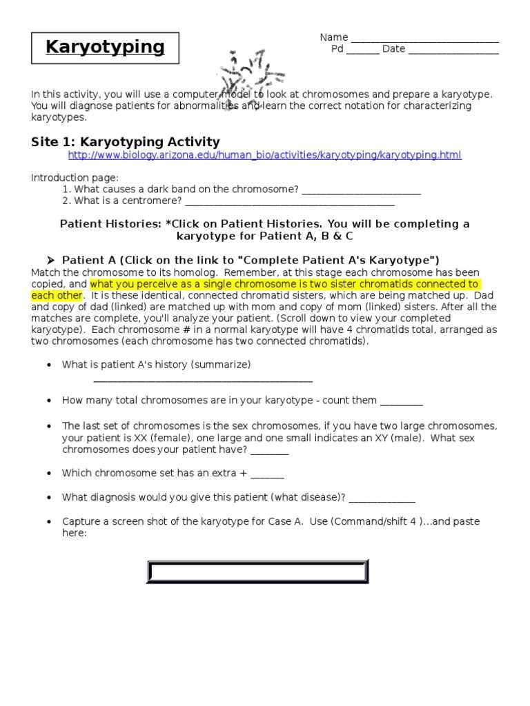 biological application karyotyping worksheet