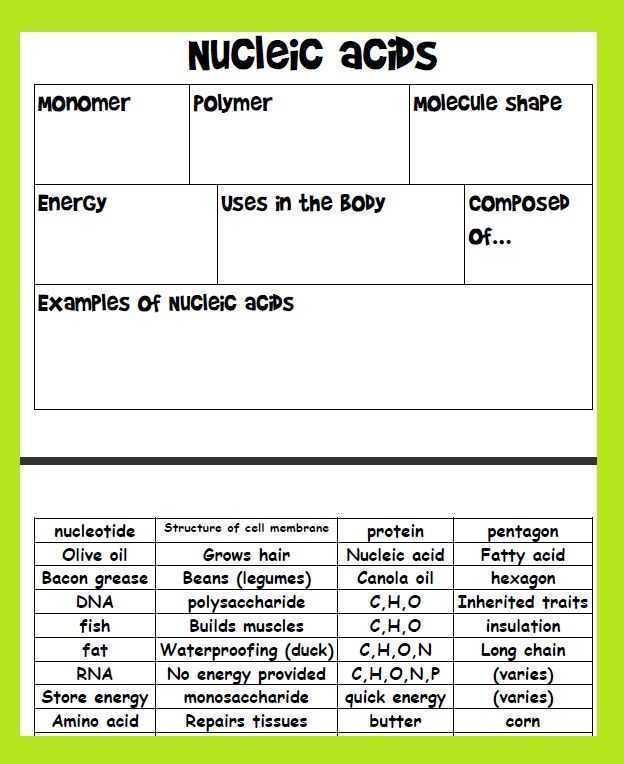 biological compounds worksheet