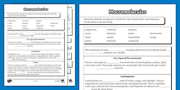 biology biomolecules worksheet biology biomolecules worksheet