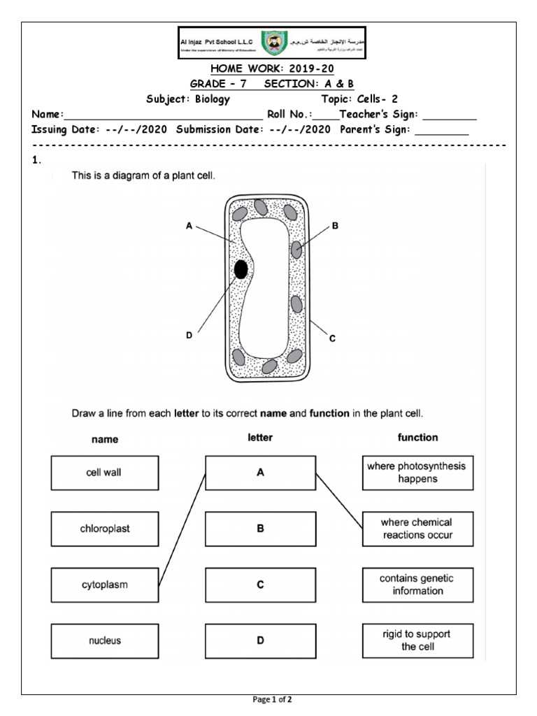 biology cells worksheet