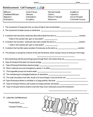 biology cells worksheet