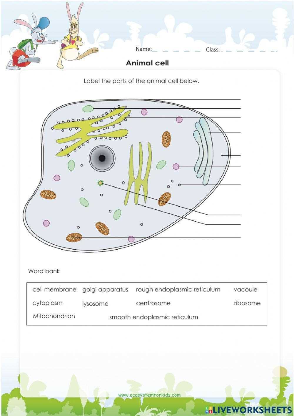 biology worksheet class 9