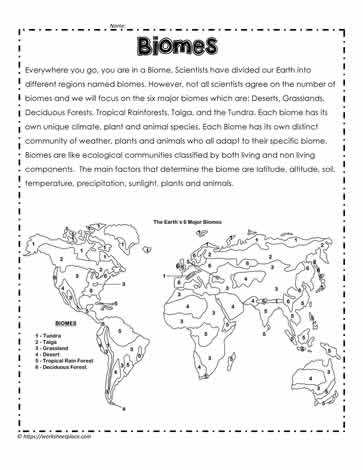biomes and biodiversity worksheet