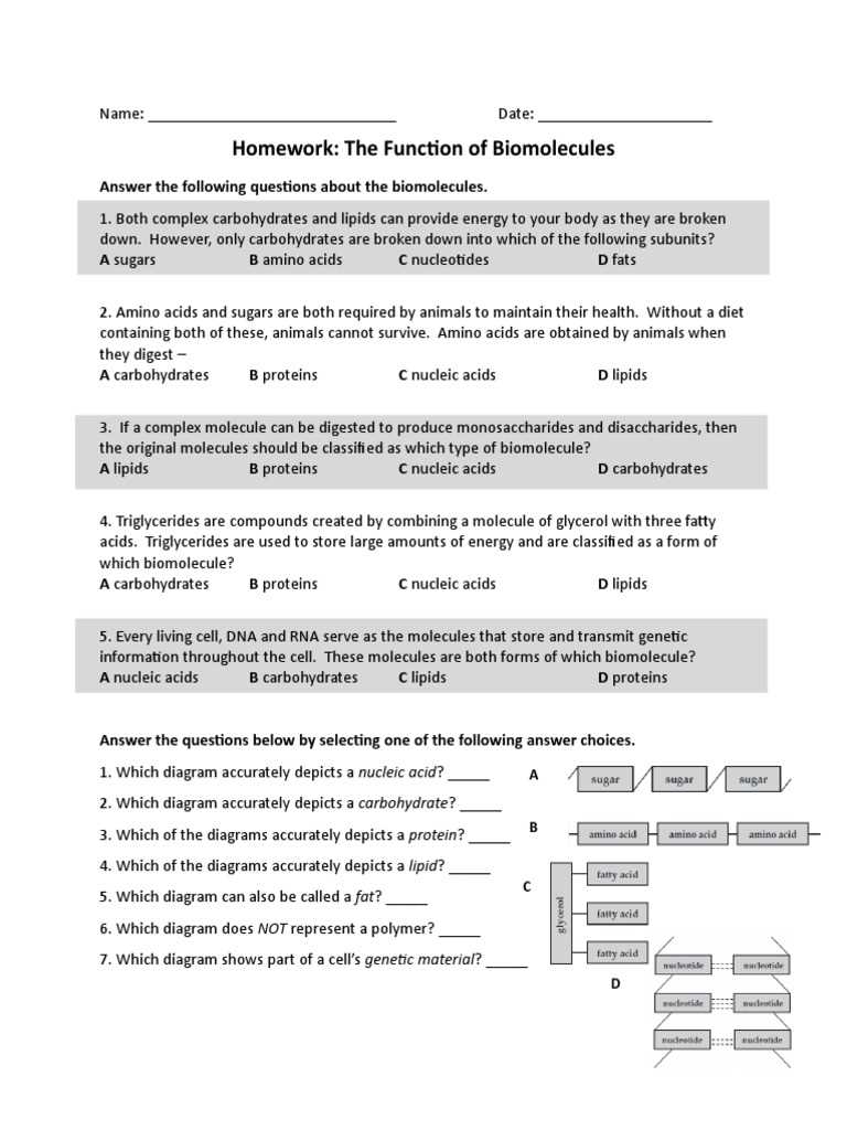 biomolecule review worksheet