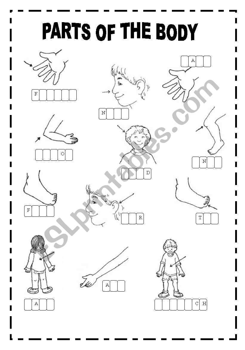 draw the missing body parts worksheets for kindergarten