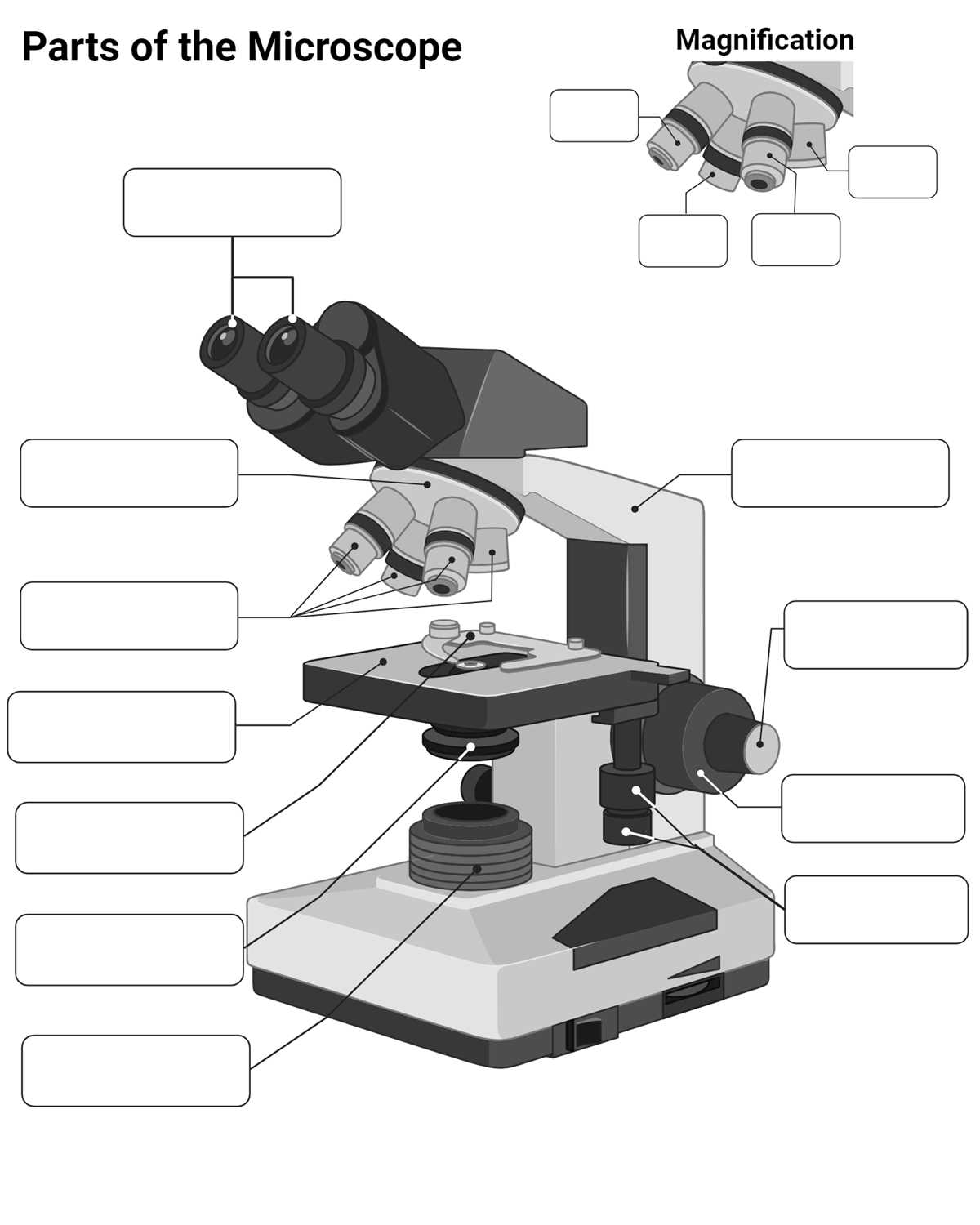 blank microscope diagram worksheet