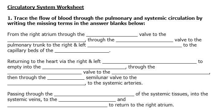 blood circulatory system worksheet