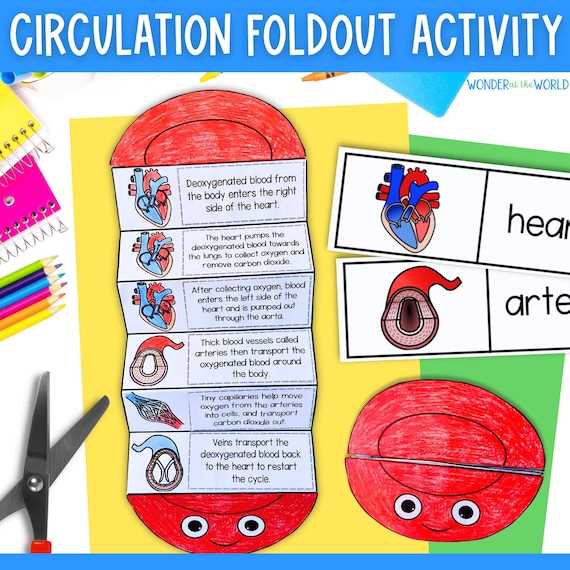 blood circulatory system worksheet