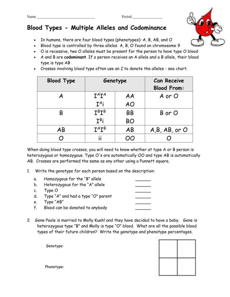 blood types multiple alleles and codominance worksheet