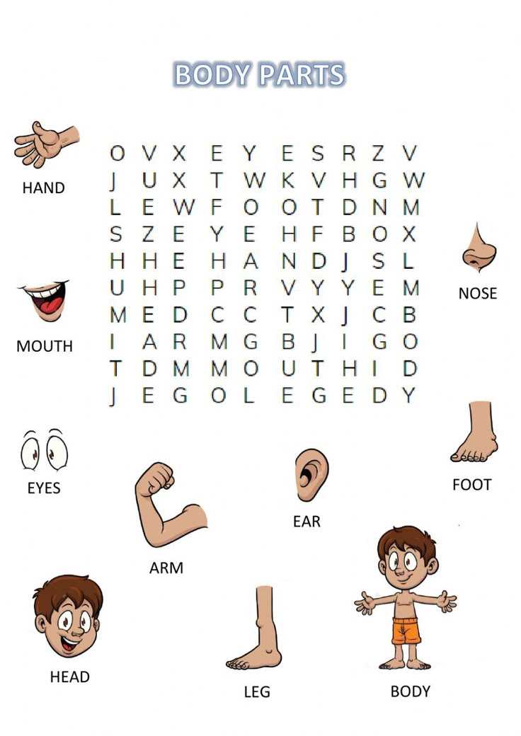 body part worksheet