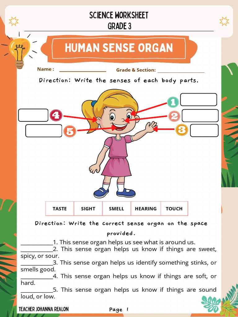 body parts and sense organs worksheet