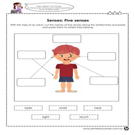 body parts worksheet for ukg