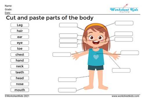 body parts worksheet for ukg