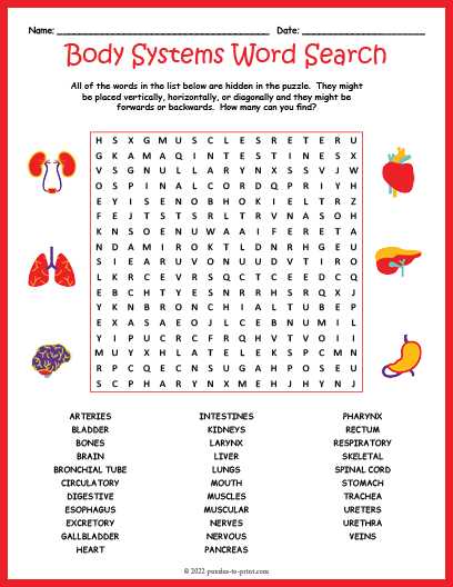 body system challenge worksheet