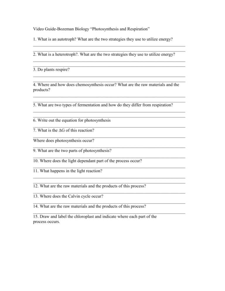 bozeman cellular respiration worksheet