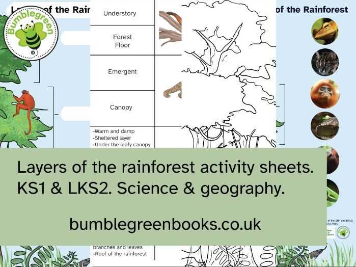 branches of science matching activity worksheet