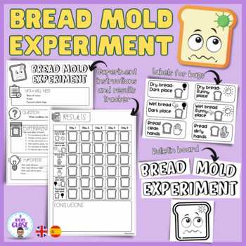 bread mold experiment worksheet