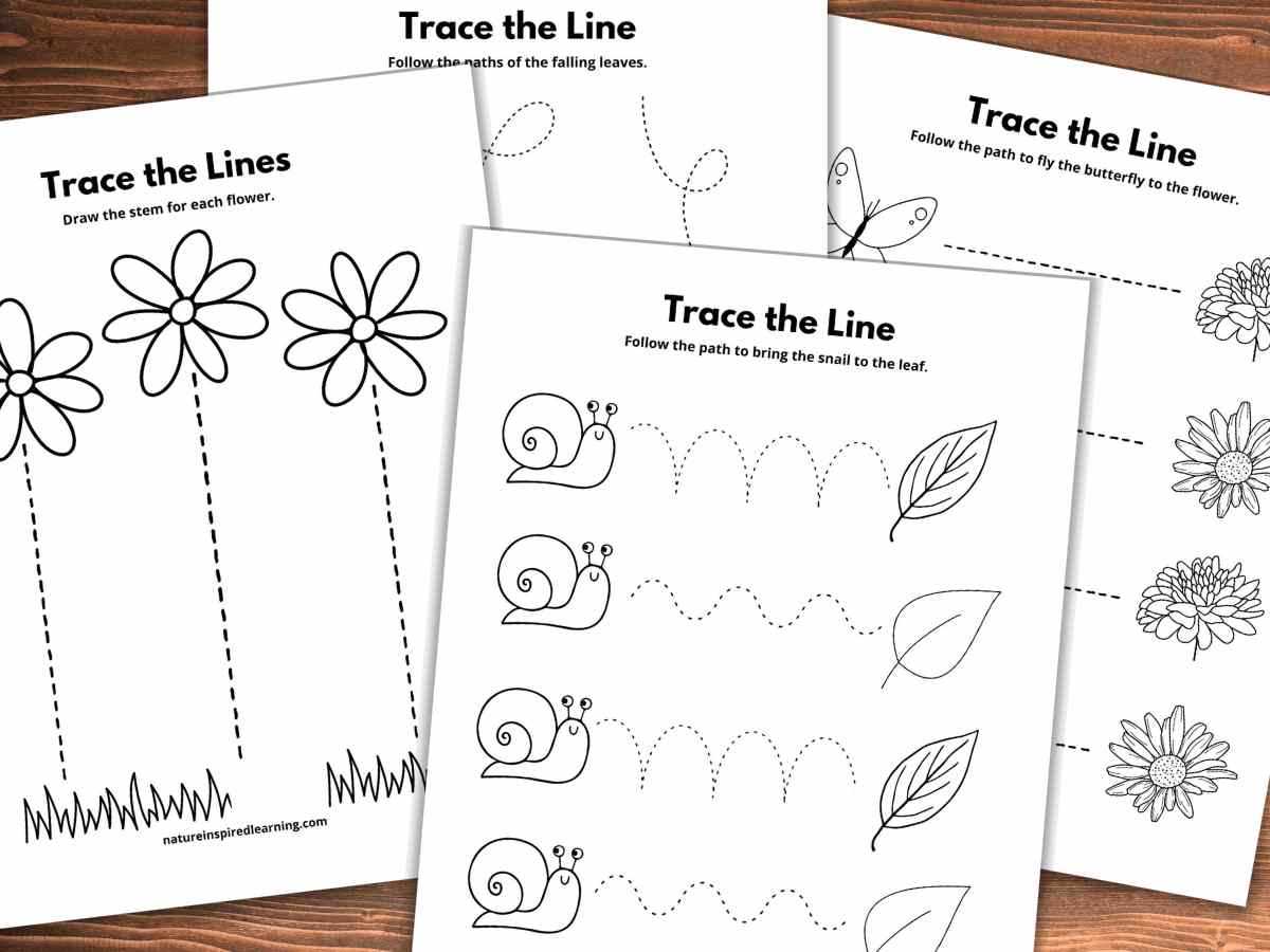 flower tracing worksheets