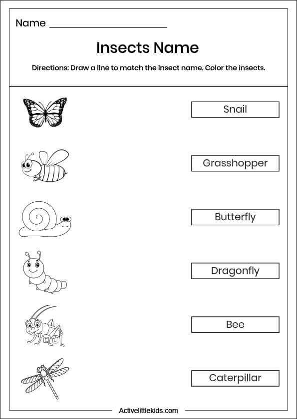 bugs worksheet for kindergarten