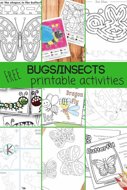 bugs worksheet for kindergarten