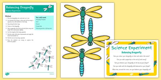 dragonfly biology book worksheets