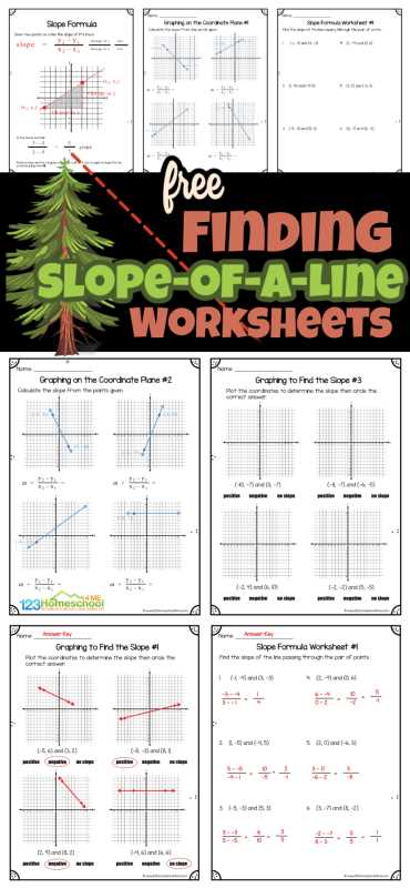 calculus slope fields worksheet