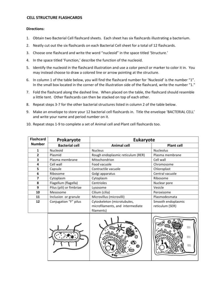 can you identify these cell structures worksheet