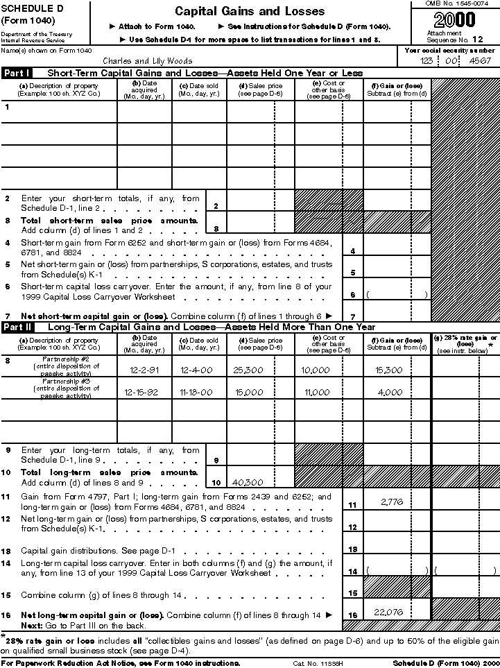 capital loss carry over worksheet