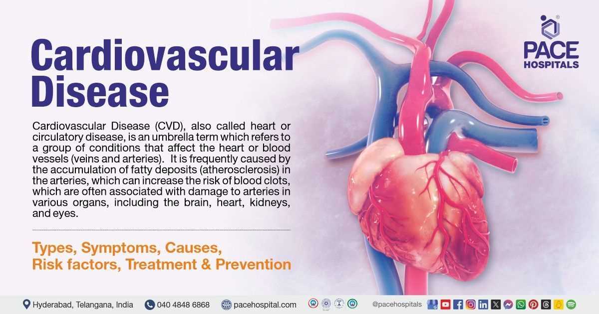 cardiovascular case study worksheet