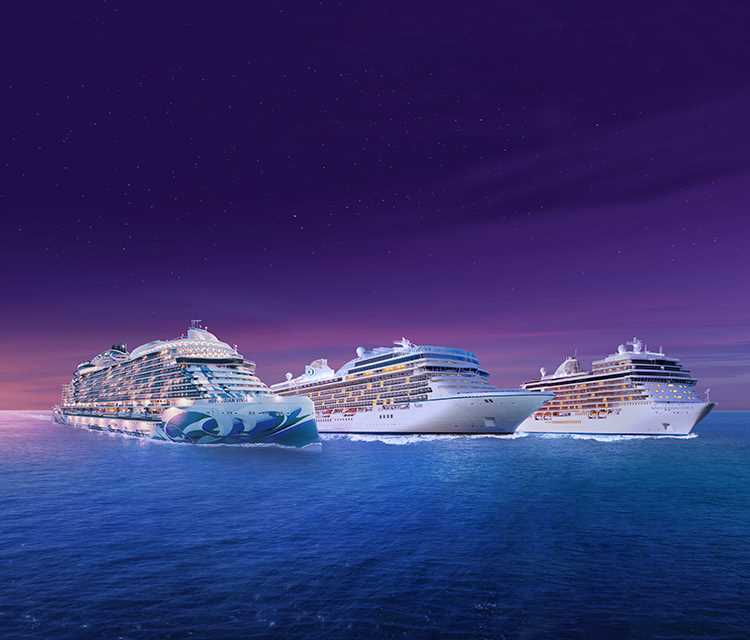 career cruising worksheets