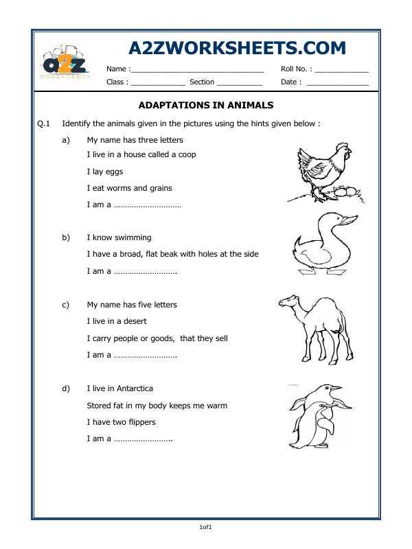 animal adaptations worksheet