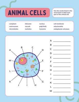 cell labeling worksheet