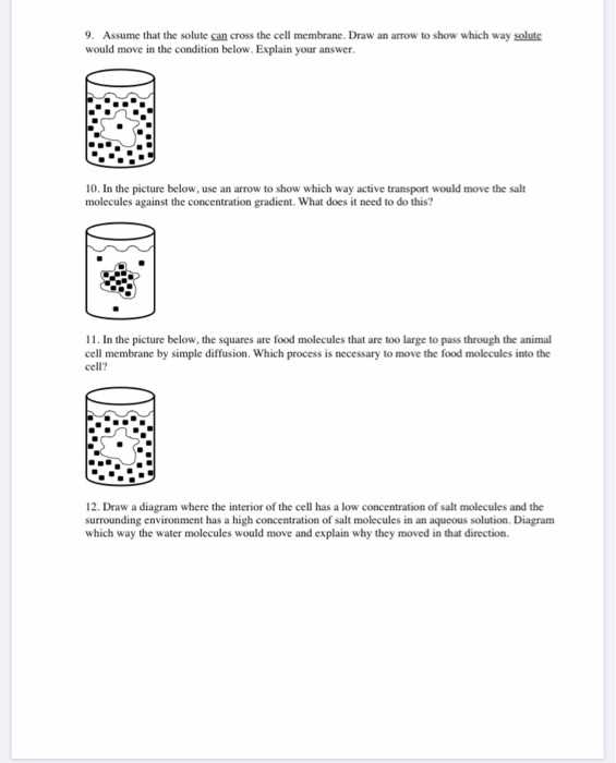 cell membrane activity worksheet