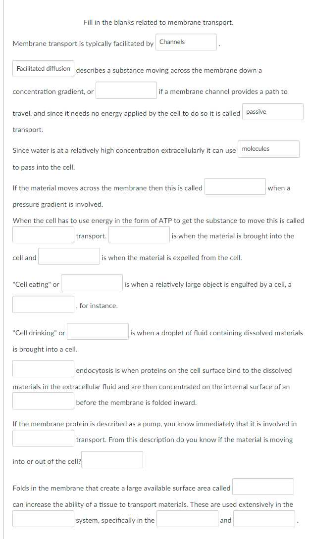 cell membrane transport systems worksheet cell membrane transport systems worksheet