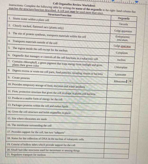 cell organelle review worksheet