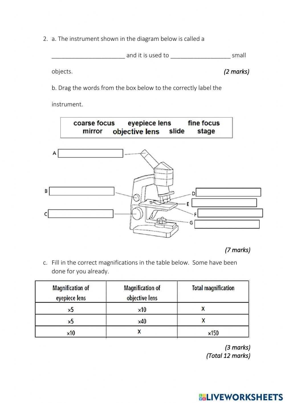 cell questions worksheet