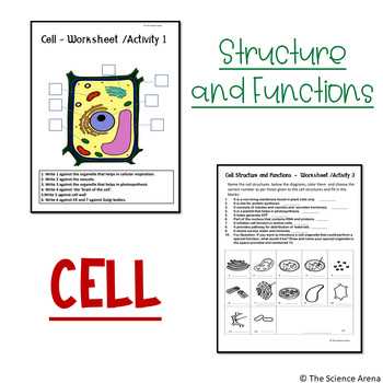 cell structure and functions activity worksheet