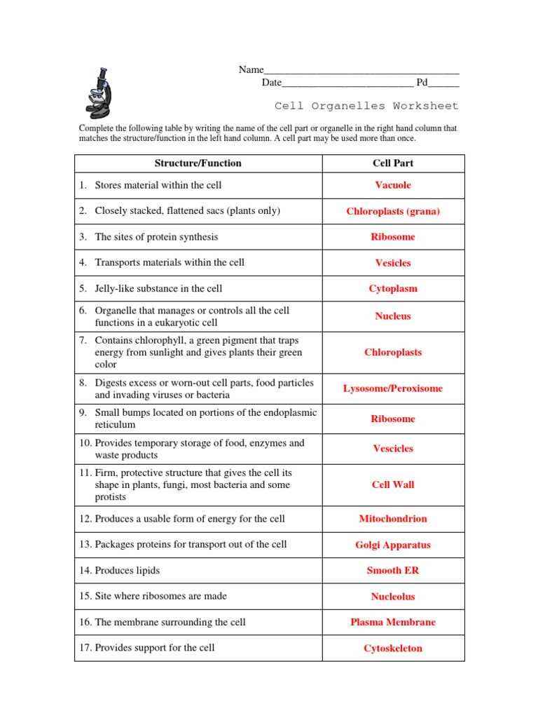 cells organelles worksheet