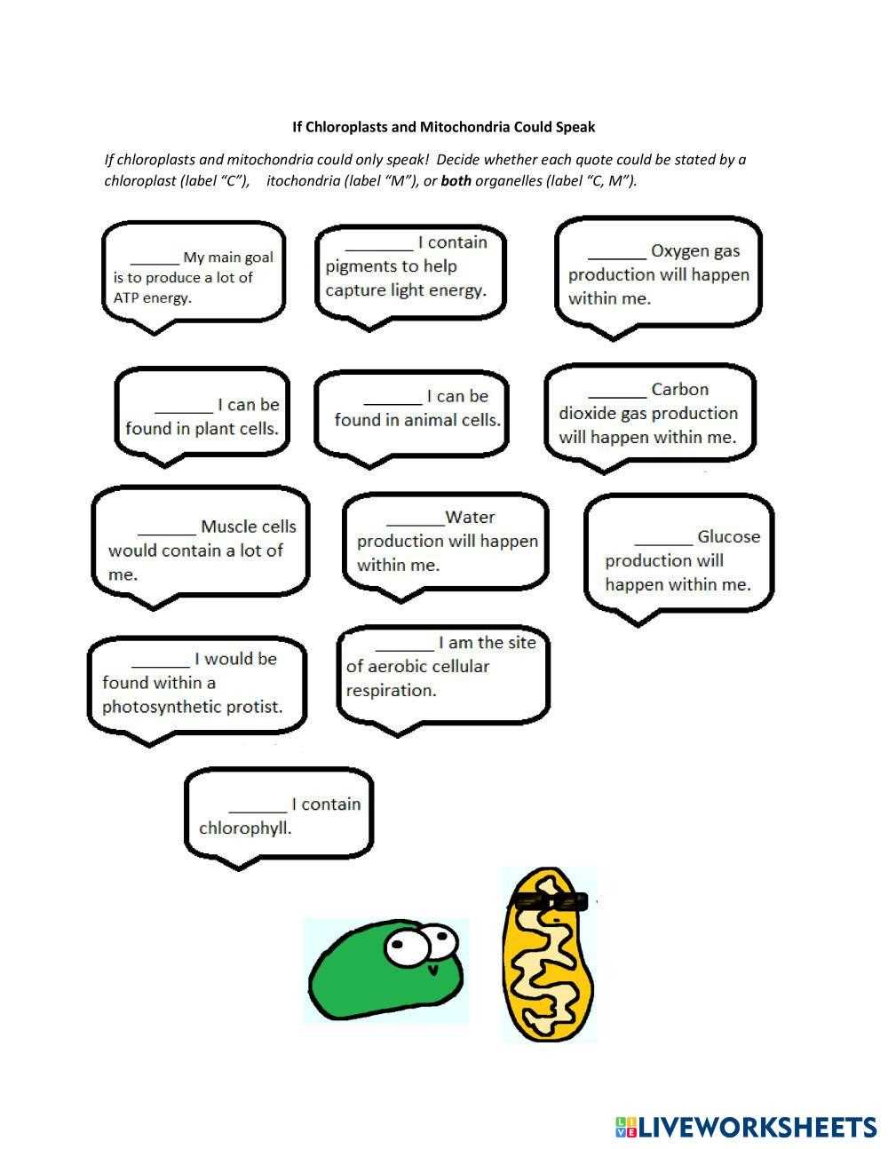 cellular respiration amoeba sisters worksheet