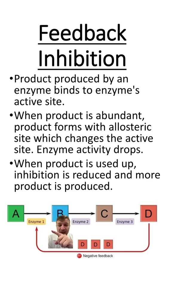 feedback inhibition worksheet
